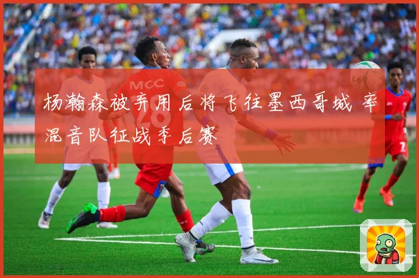 杨瀚森被弃用后将飞往墨西哥城 率混音队征战季后赛