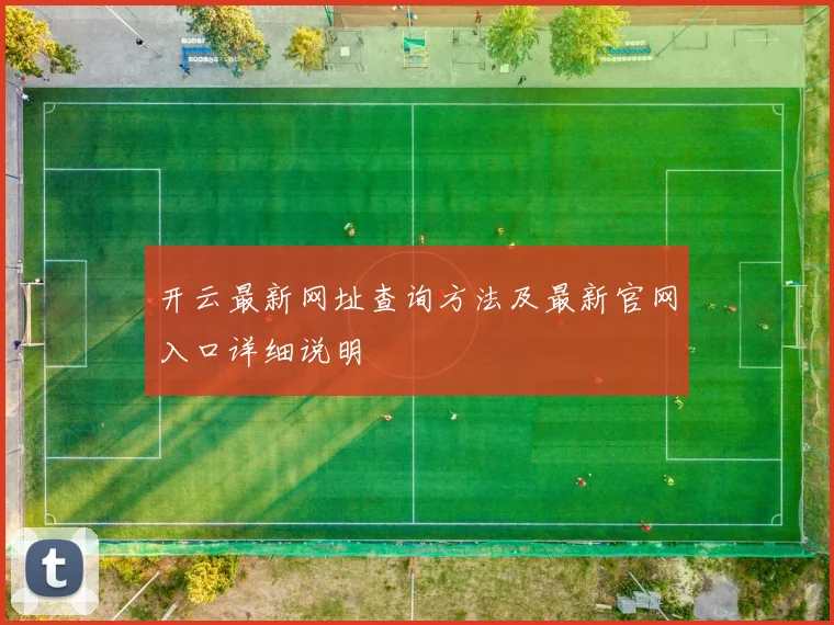 开云最新网址查询方法及最新官网入口详细说明